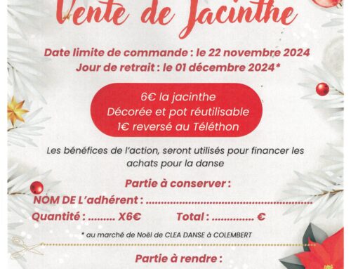 VENTE DE JACINTHES CLÉA DANSE